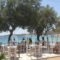 Krios Beach Camping_holidays_in_Hotel_Cyclades Islands_Paros_Paros Chora