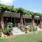 Litochoro Rooms_accommodation_in_Room_Macedonia_Pieria_Dion