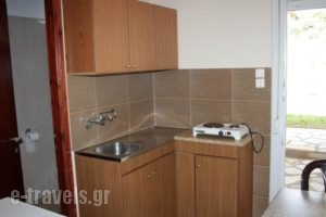 Litochoro Rooms_best prices_in_Room_Macedonia_Pieria_Dion