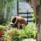 Ikaria Utopia - Cusco Studios_best prices_in_Hotel_Aegean Islands_Ikaria_Evdilos