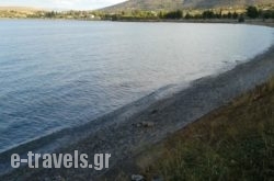 Elea Guesthouse in Galaxidi, Fokida, Central Greece