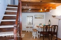 Nikita Traditional House_s __1