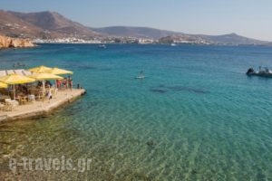 Petalides Apartments_holidays_in_Apartment_Cyclades Islands_Paros_Paros Chora