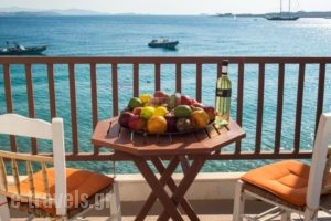 Petalides Apartments_accommodation_in_Apartment_Cyclades Islands_Paros_Paros Chora