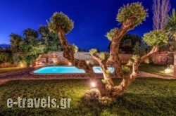Bozonos Luxury Villa & Spa_s __2
