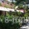 Asteri Hotel_best prices_in_Hotel_Dodekanessos Islands_Patmos_Skala
