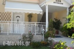 Zoe'S Studios_s __1