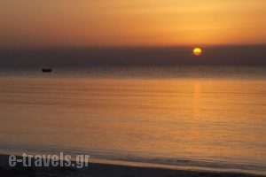 Mealos Apartments_best deals_Apartment_Sporades Islands_Skyros_Skyros Rest Areas