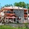 Silva Suites_accommodation_in_Hotel_Thessaly_Karditsa_Neochori
