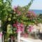 Iro Apartments_travel_packages_in_Aegean Islands_Chios_Chios Rest Areas