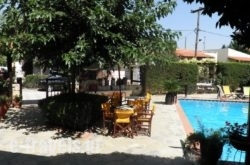 Ammon Garden Hotel_s __1
