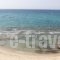 Laskarina Rooms_best deals_Room_Aegean Islands_Thasos_Thasos Chora