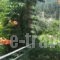 Giannos Apartments_travel_packages_in_Ionian Islands_Kefalonia_Aghia Efimia