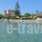 Stefania Apartments_best prices_in_Apartment_Ionian Islands_Zakinthos_Alykes