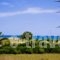 Chrissas Apartments_holidays_in_Apartment_Crete_Rethymnon_Rethymnon City