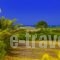 Chrissas Apartments_best deals_Apartment_Crete_Rethymnon_Rethymnon City