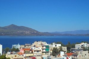 Metropol Hotel_best deals_Hotel_Central Greece_Evia_Edipsos