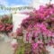 Galini Oia_best deals_Hotel_Cyclades Islands_Sandorini_Sandorini Rest Areas