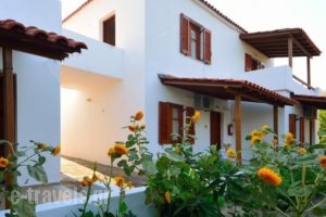 Studios Calvinos_accommodation_in_Hotel_Aegean Islands_Samos_Marathokambos