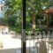 Natasa_lowest prices_in_Hotel_Thessaly_Magnesia_Pilio Area