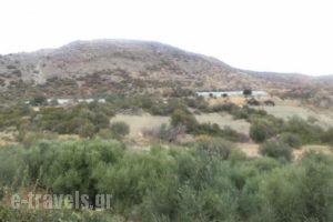 Studios Eftihia_travel_packages_in_Crete_Heraklion_Viannos