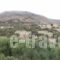 Studios Eftihia_travel_packages_in_Crete_Heraklion_Viannos
