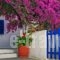 Gaby Rooms_accommodation_in_Room_Cyclades Islands_Sandorini_Fira