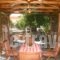 Tzovanna Studios_holidays_in_Hotel_Central Greece_Evia_Edipsos