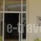 Tzovanna Studios_best deals_Hotel_Central Greece_Evia_Edipsos