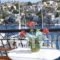 Symi Port View Apartment_best prices_in_Apartment_Dodekanessos Islands_Simi_Symi Chora
