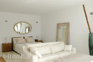 Villa Joy_lowest prices_in_Villa_Cyclades Islands_Mykonos_Mykonos ora