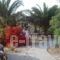 Ecoxenia_best deals_Hotel_Cyclades Islands_Sandorini_Sandorini Rest Areas