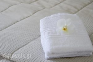 Athena Hotel_travel_packages_in_Dodekanessos Islands_Rhodes_Rhodesora