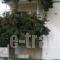 Agiocampos Bay_holidays_in_Hotel_Central Greece_Evia_Istiea