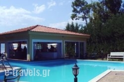 Agiocampos Bay_s __1