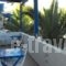 Anna Zisimos_lowest prices_in_Hotel_Cyclades Islands_Milos_Milos Chora