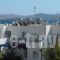 Anna Zisimos_accommodation_in_Hotel_Cyclades Islands_Milos_Milos Chora