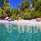 Leda Village Resort_travel_packages_in_Central Greece_Evia_Istiea