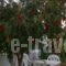 Kapetanios Studios_accommodation_in_Hotel_Ionian Islands_Corfu_Corfu Rest Areas