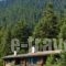 Elatos Resort & Health Club_travel_packages_in_Central Greece_Viotia_Arachova