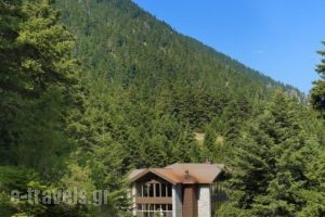 Elatos Resort & Health Club_lowest prices_in_Hotel_Central Greece_Viotia_Arachova