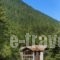 Elatos Resort & Health Club_lowest prices_in_Hotel_Central Greece_Viotia_Arachova