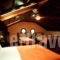 Villa Kastanodasos_holidays_in_Villa_Macedonia_Kozani_Velvedos