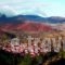 Villa Kastanodasos_best deals_Villa_Macedonia_Kozani_Velvedos