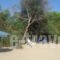 Zervos Apartments Bouka_best prices_in_Apartment_Ionian Islands_Corfu_Corfu Rest Areas