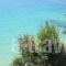 Eleios_lowest prices_in_Hotel_Ionian Islands_Kefalonia_Kefalonia'st Areas