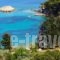 Lithea Villas and Studios by the Sea_accommodation_in_Villa_Sporades Islands_Skopelos_Neo Klima - Elios