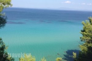 Anatoli_best prices_in_Hotel_Macedonia_Halkidiki_Kassandreia