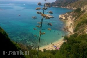 Thanasis Apartments_travel_packages_in_Ionian Islands_Kefalonia_Kefalonia'st Areas