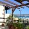 Filanthi Rooms_best deals_Room_Thessaly_Magnesia_Pilio Area